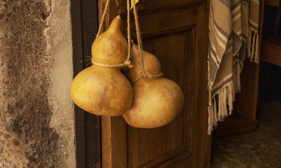 colorful-mexican-urban-architecture-landscape