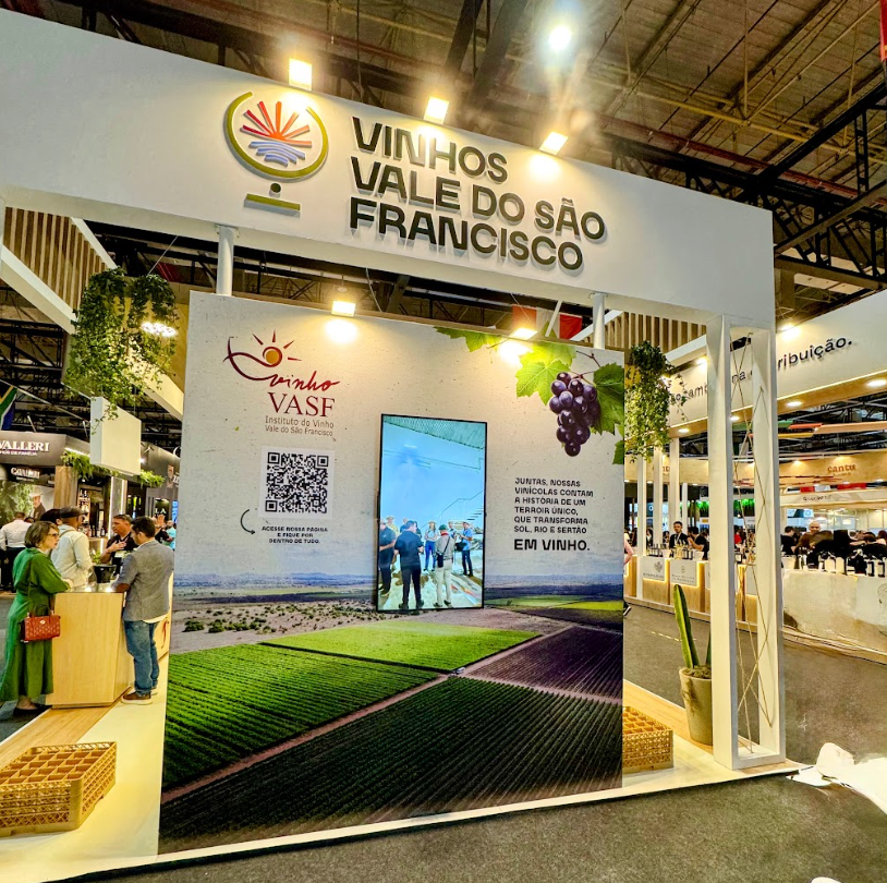 Vinhos do terroir nordestino brilham na ProWine São Paulo 2025